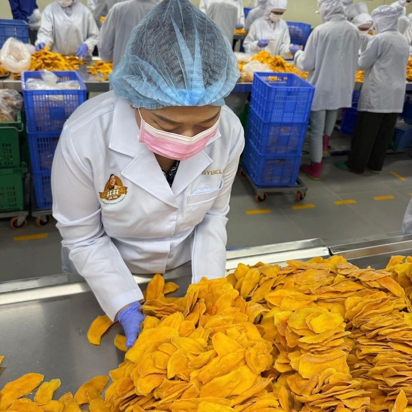OR OR Dried Mango - Low Sugar (70g)