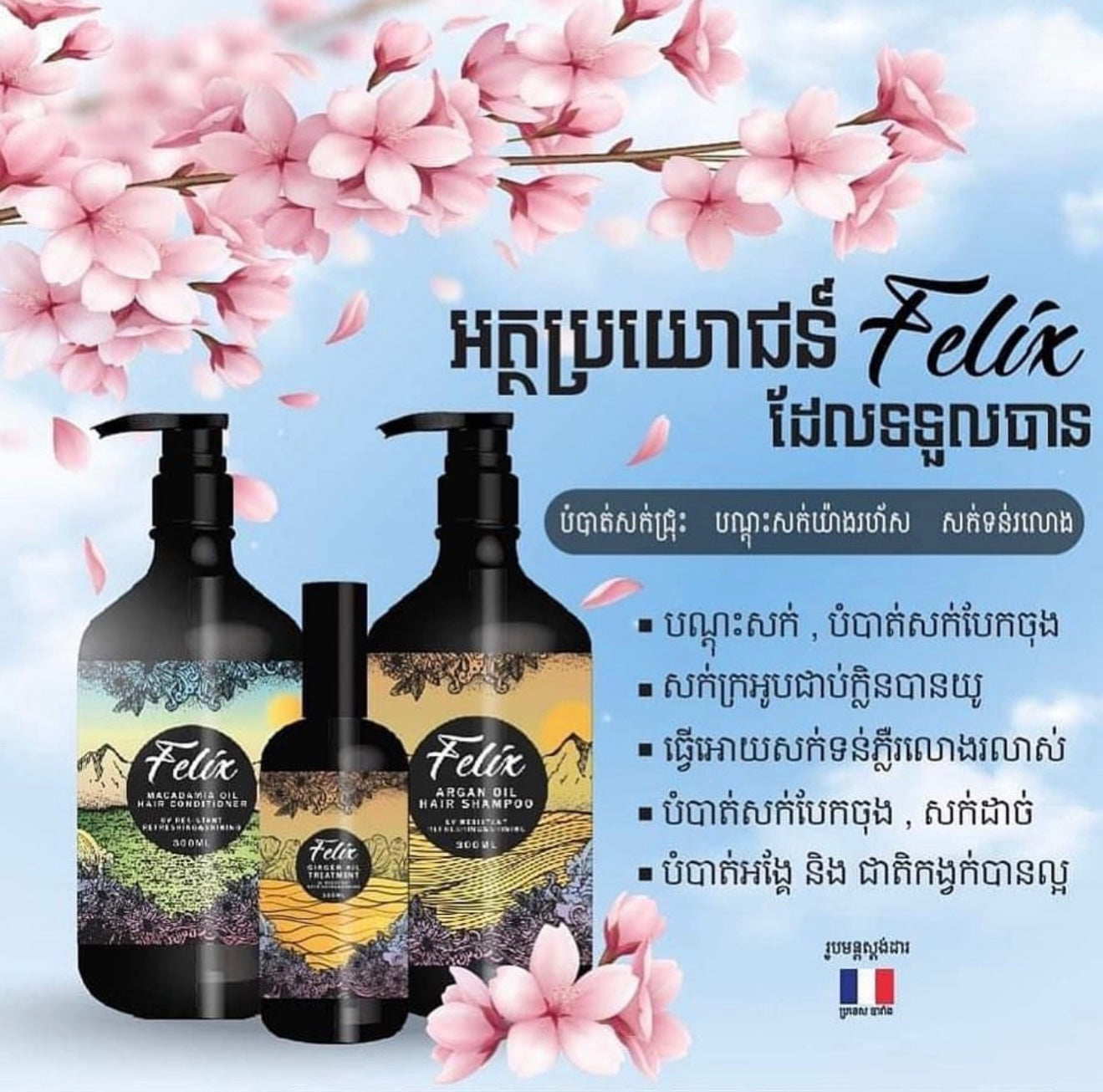 Felix Hair Shampoo & Conditioner Set (500ml/pcs)