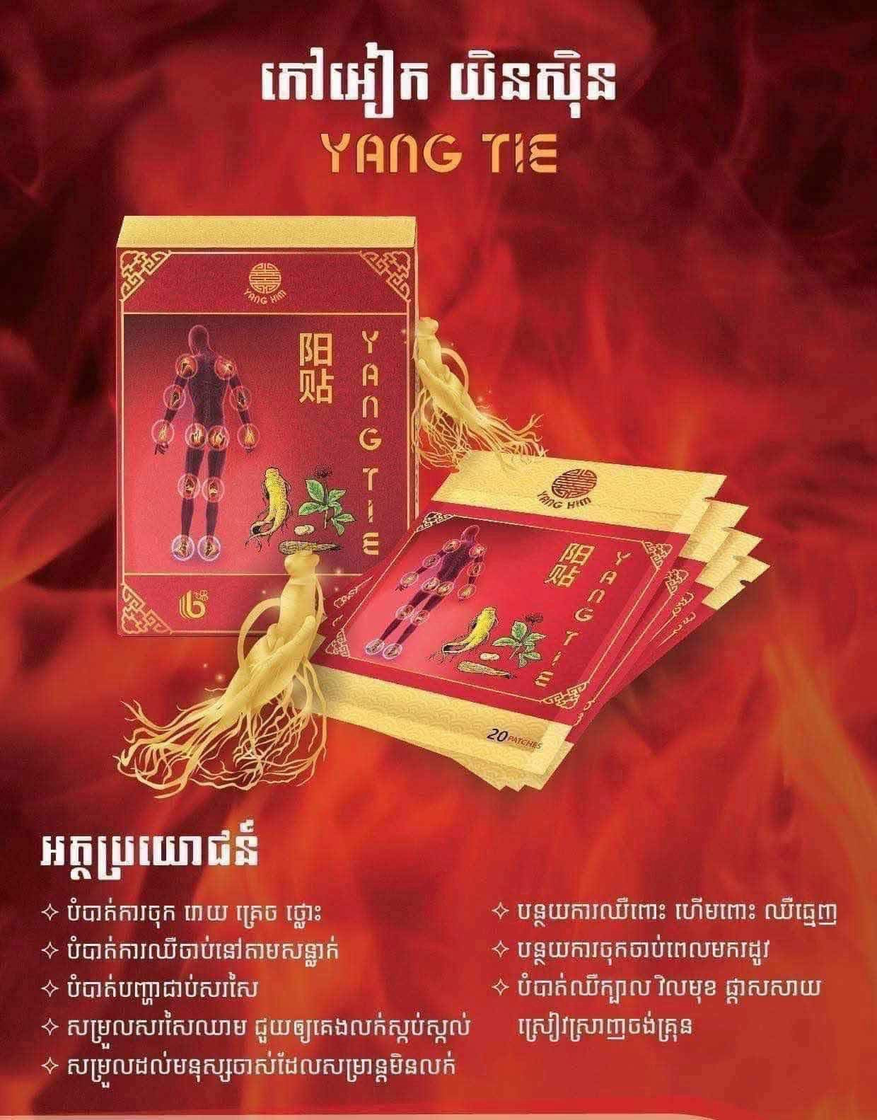 YANG TIE Hot Patches (80pcs/box)