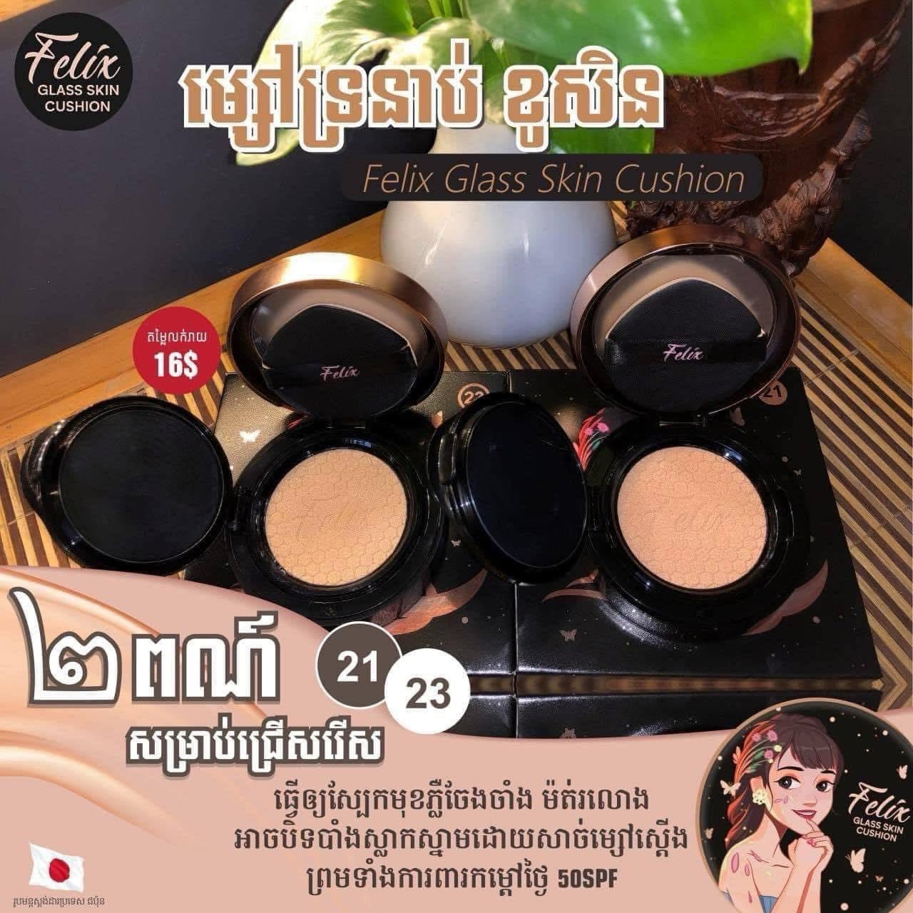 Felix Glass Skin Cushion - 21