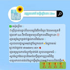 Miss Sunflower Vitamin Cream & Mask X72